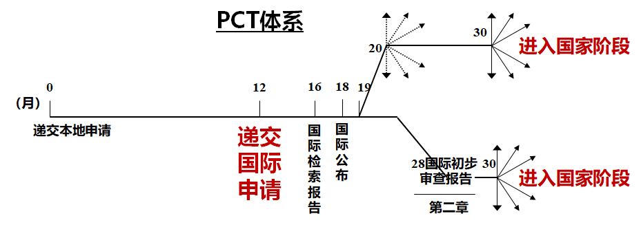 PCT途径.png